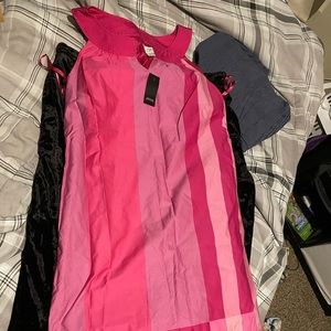 Loft dress NWT